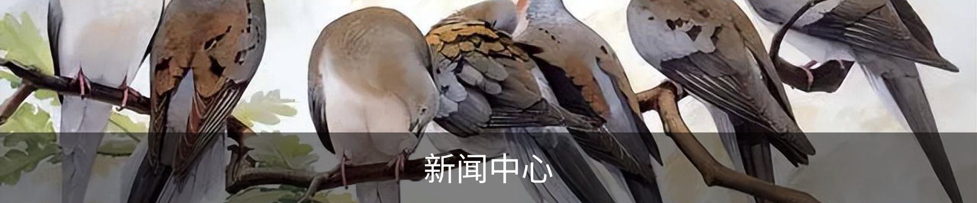 新闻中心